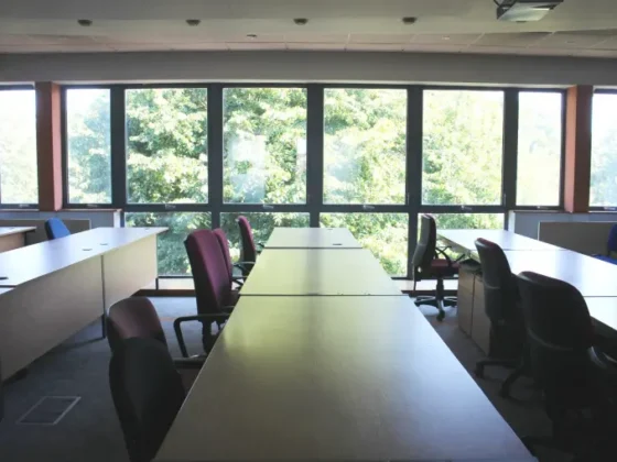 How to Maximise Your Office Space: Tips for Small Teams